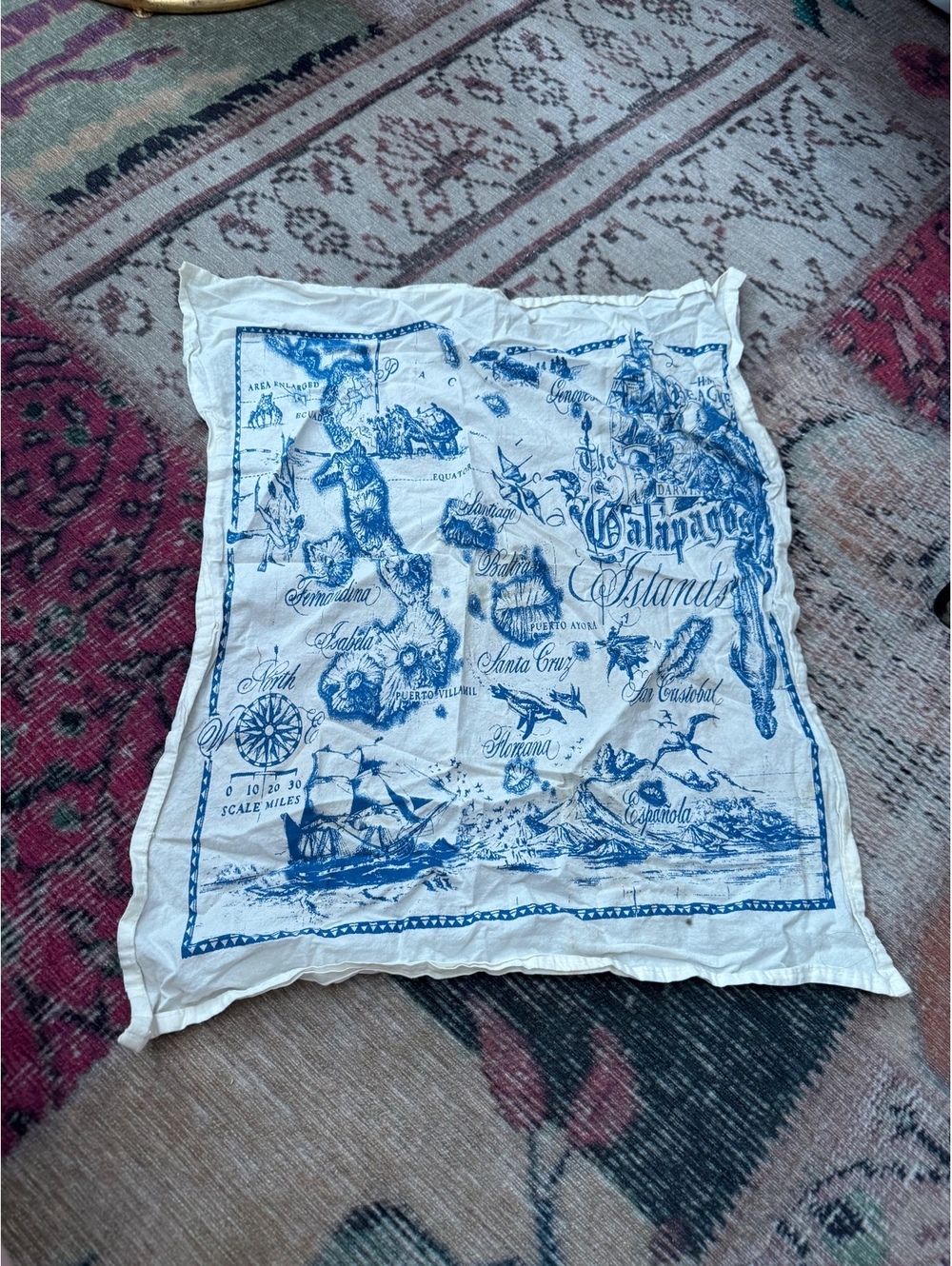 Vintage map Galápagos Islands beachy summer y2k vibes